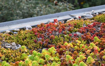 the cost of Sandwick green roof installation