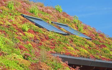 Sandwick living roof systems