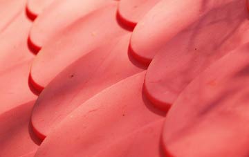 Sandwick plastic roof costs